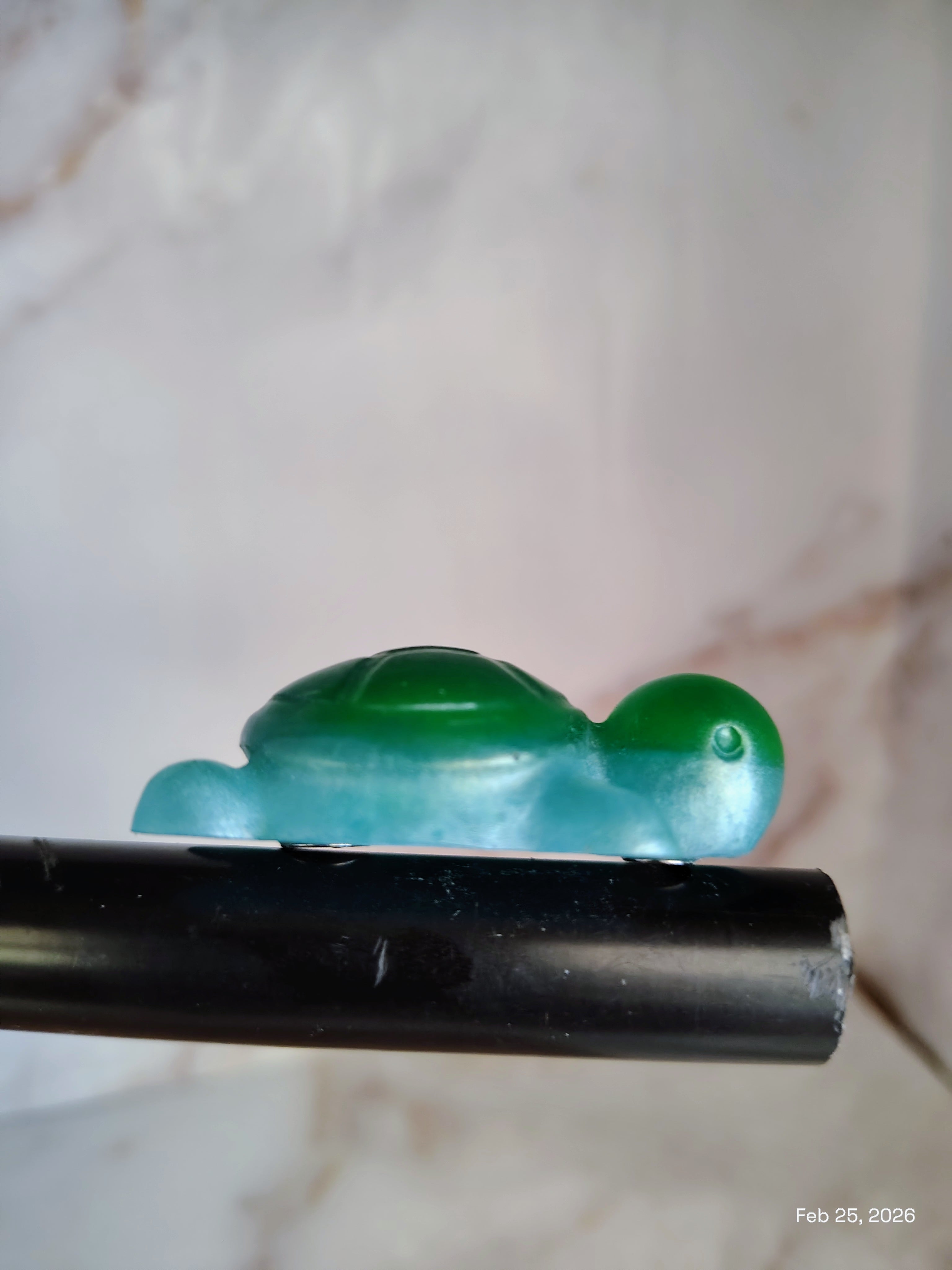 Sea turtle magnet