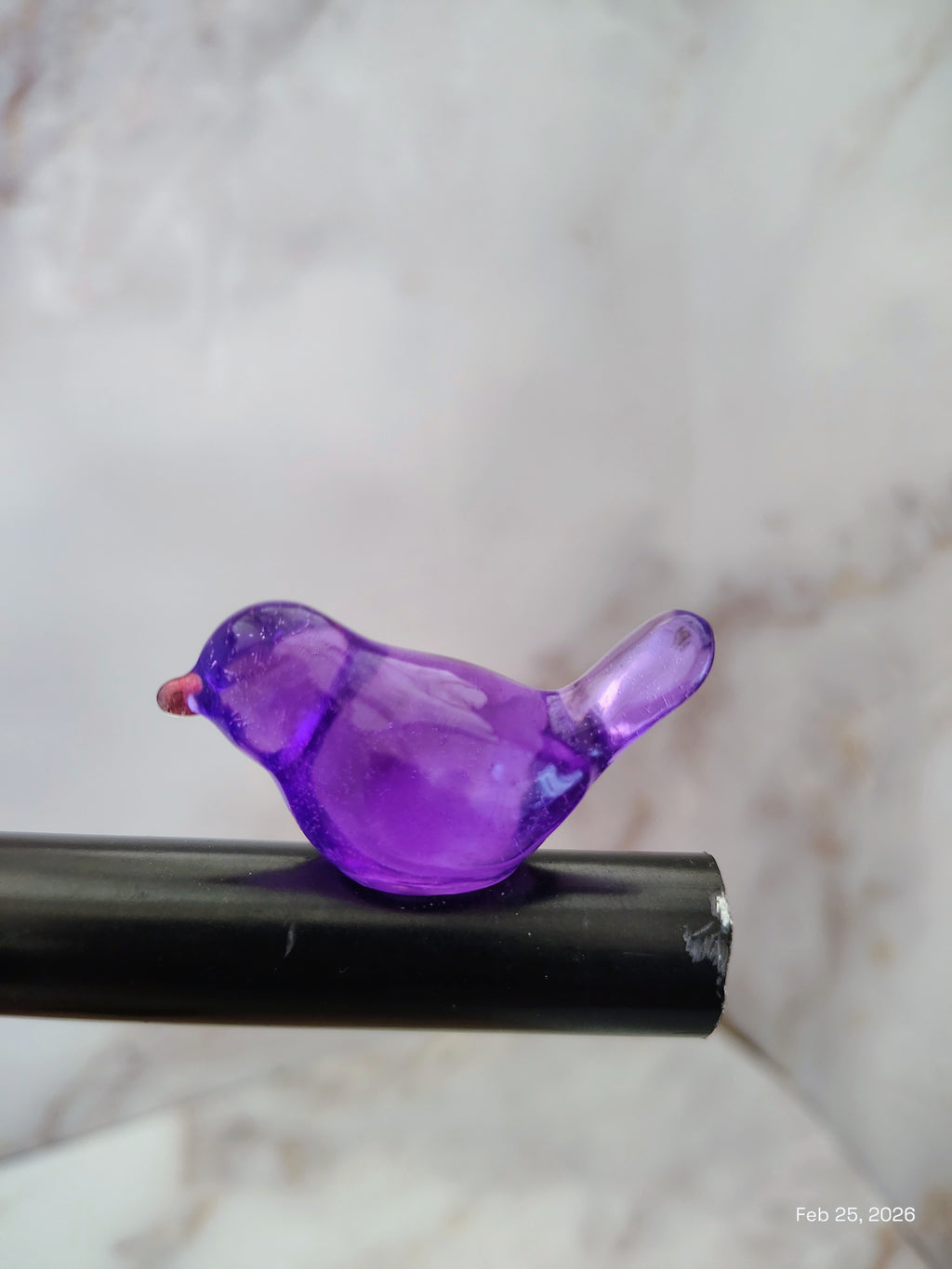 Purple bird magnet