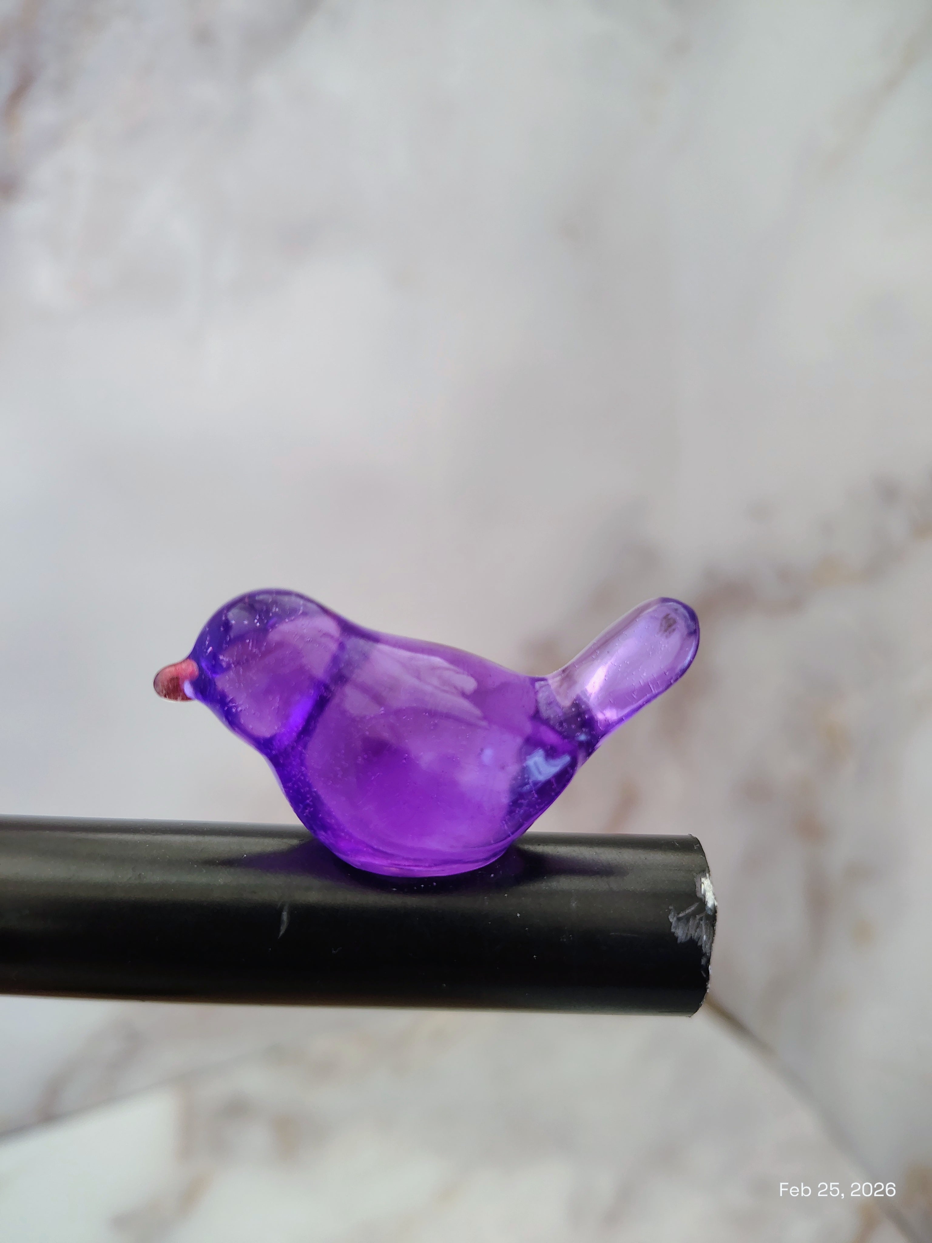 Purple bird magnet