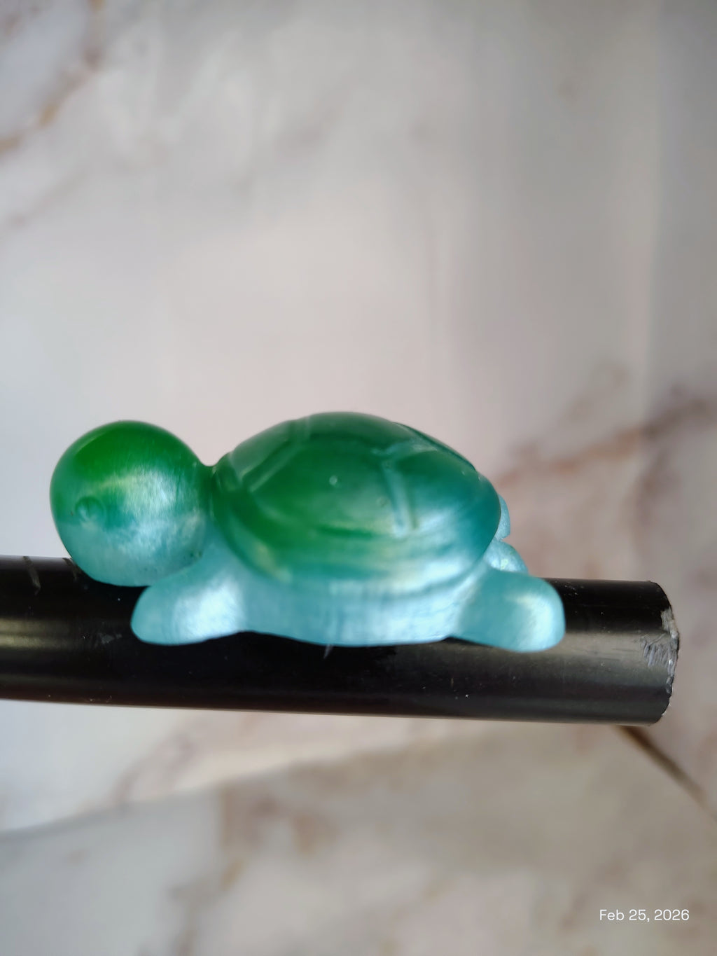 Sea turtle magnet
